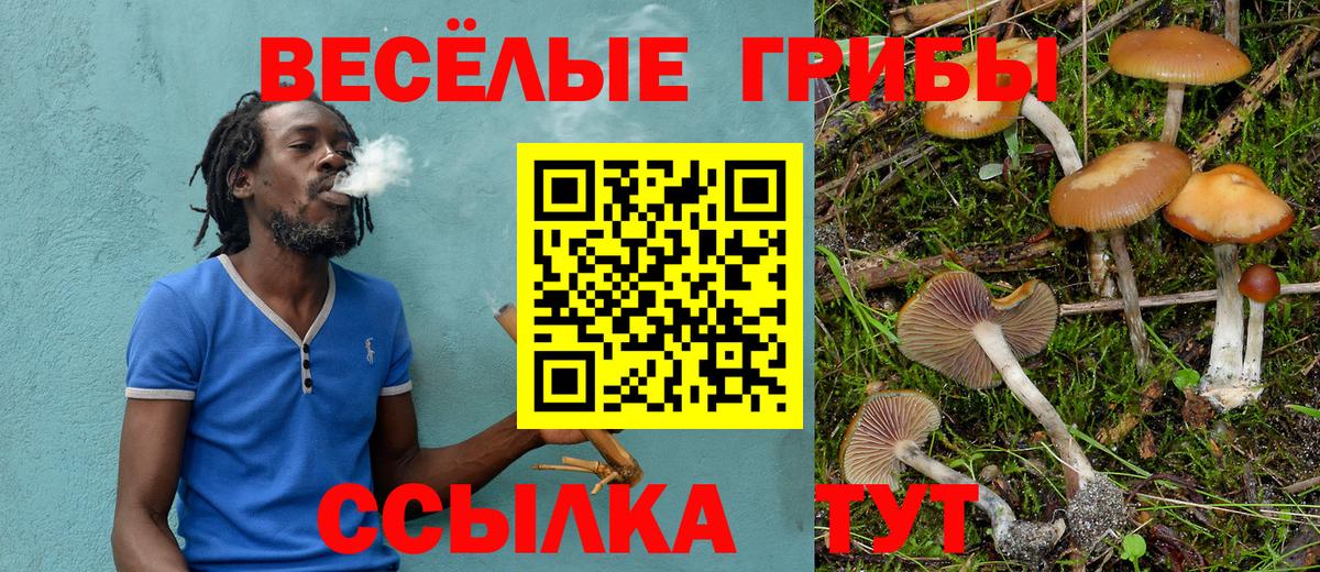 Псилоцибиновые грибы GOLDEN TEACHER Заринск