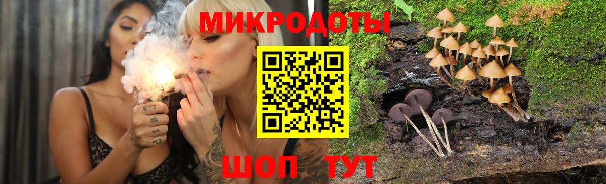 Заринск  Галлюциногенные грибы GOLDEN TEACHER  Вход с VPN 